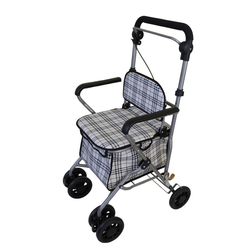 ortopedia-online-cuadros 2 Rollator shopping cuadros